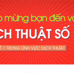 Bài viết demo số 8
