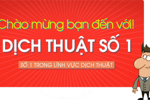Bài viết demo số 8